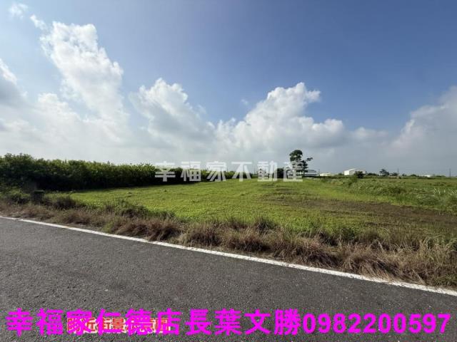 台南佳里農地-11