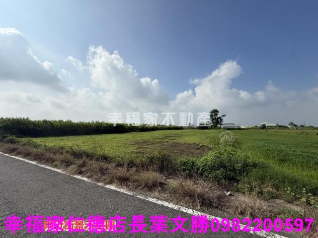台南佳里農地-12