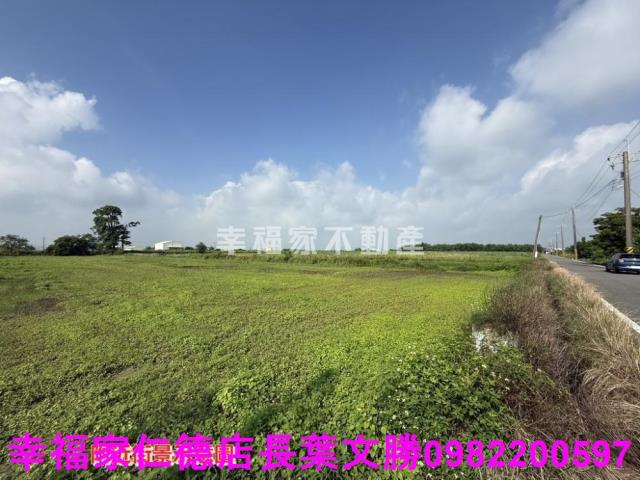 台南佳里農地-14