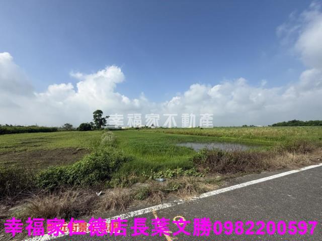 台南佳里農地-15
