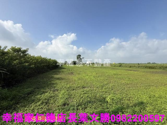 台南佳里農地-4