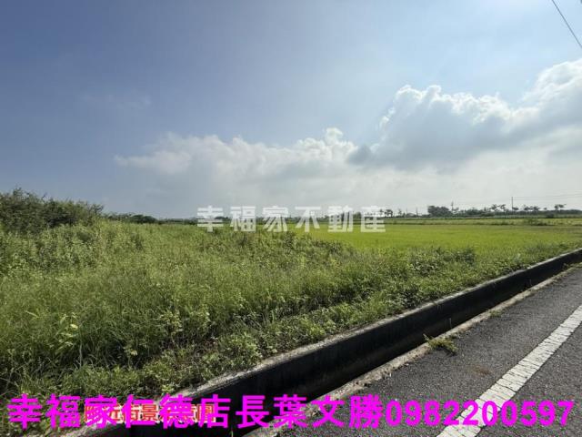 台南佳里農地-6