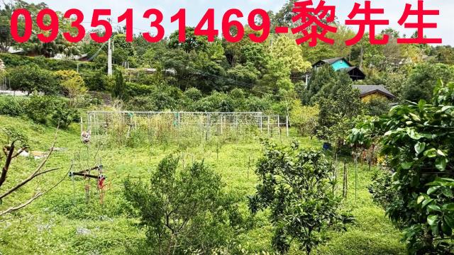 新竹峨眉農地_道路水利用地-2