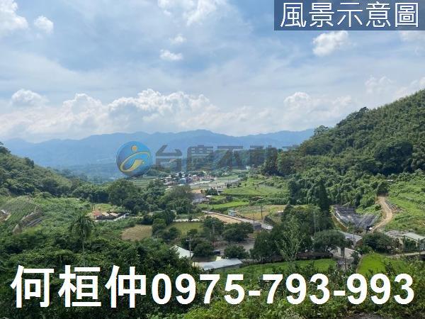 苗栗大湖農地_山坡地_休閒地-14