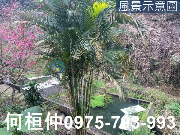 苗栗大湖農地_山坡地_休閒地-1