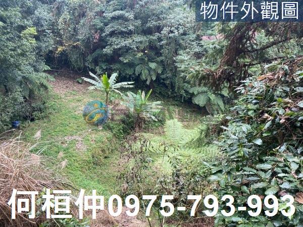 苗栗大湖農地_山坡地_休閒地-4