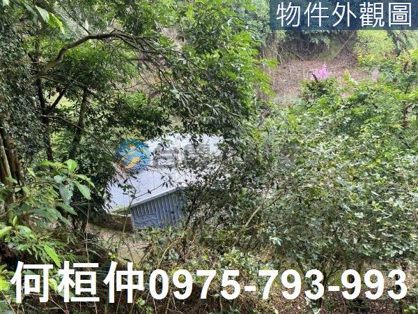 苗栗大湖農地_山坡地_休閒地-5