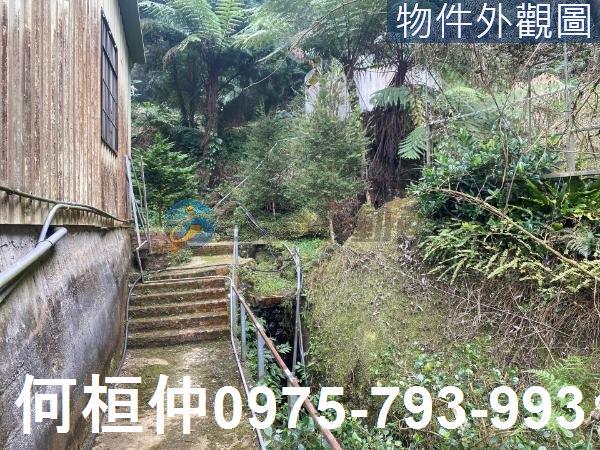 苗栗大湖農地_山坡地_休閒地-6