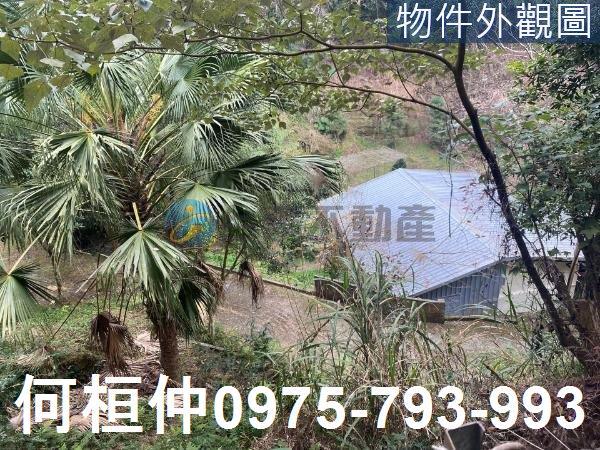 苗栗大湖農地_山坡地_休閒地-7