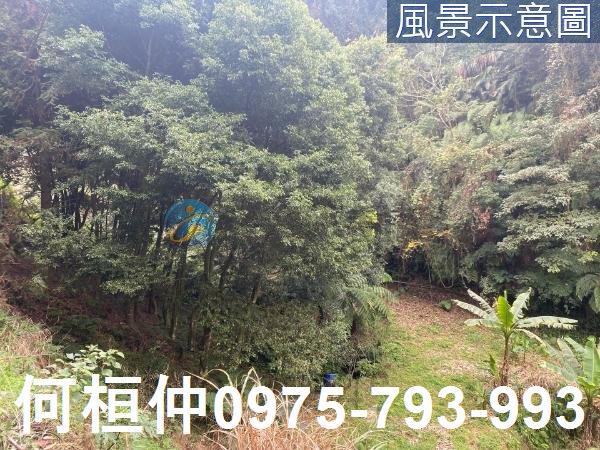 苗栗大湖農地_山坡地_休閒地-8