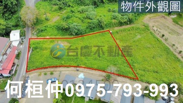 苗栗南庄建地-1
