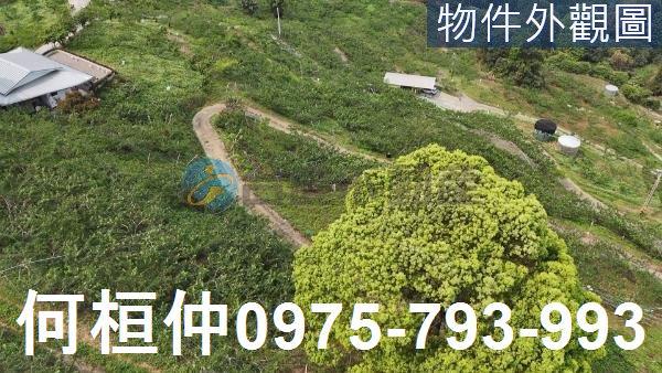 苗栗大湖農地_山坡地_休閒地-1