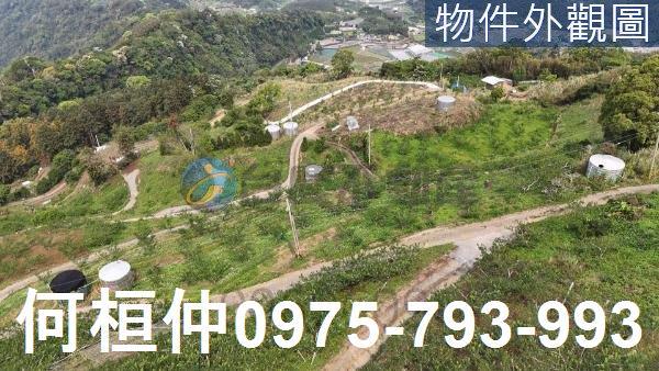 苗栗大湖農地_山坡地_休閒地-2