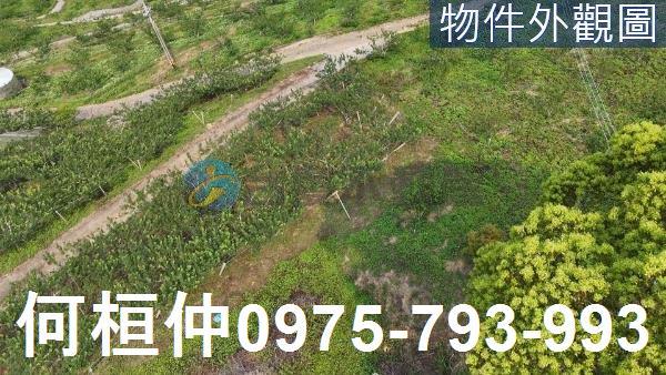 苗栗大湖農地_山坡地_休閒地-3
