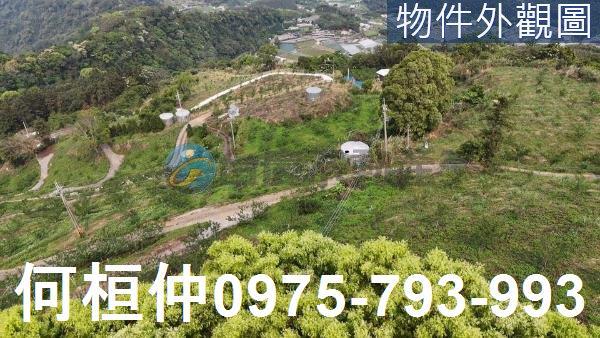 苗栗大湖農地_山坡地_休閒地-4