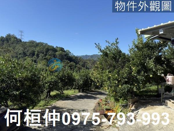 苗栗獅潭農地_山坡地_休閒地-1