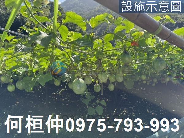 苗栗獅潭農地_山坡地_休閒地-3