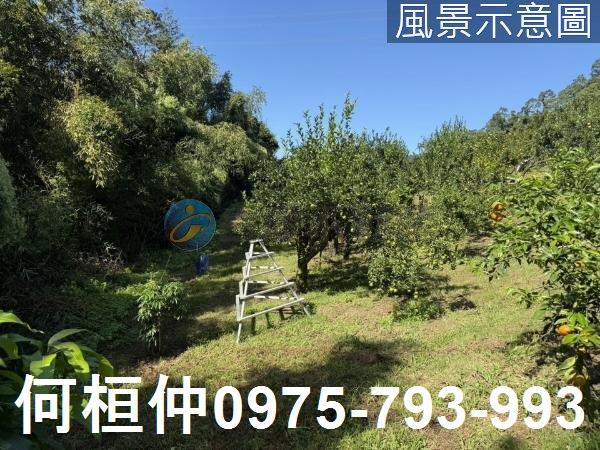 苗栗獅潭農地_山坡地_休閒地-5