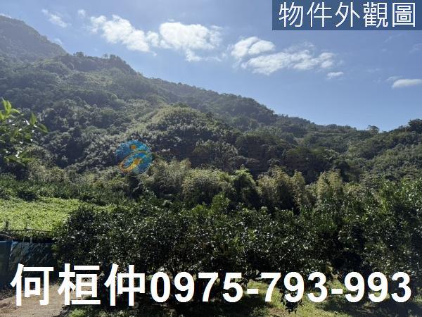 苗栗獅潭農地_山坡地_休閒地-6
