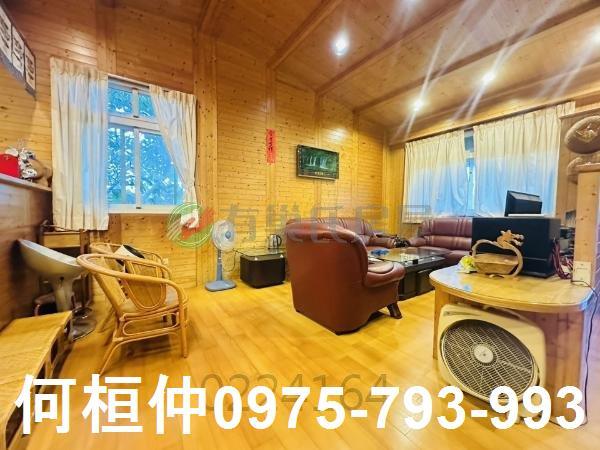 頭份農地_山坡地_休閒地-3