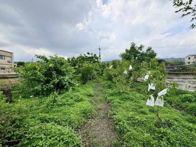 草屯農地-4