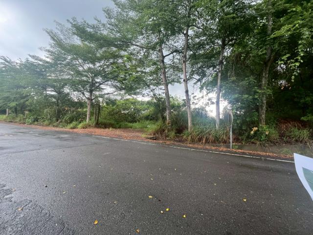 南投工業地-12