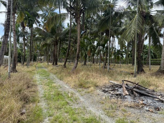 屏東長治農地-2