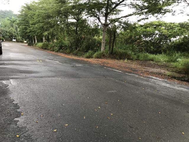 南投草屯工業地_山坡地-7