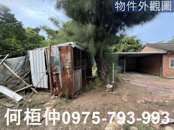 苗栗通霄建地-3