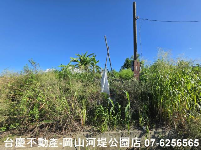 阿蓮農地-9