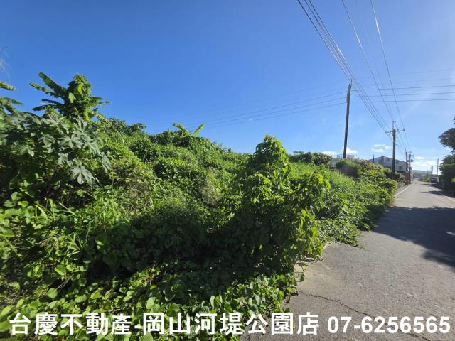 阿蓮農地-10