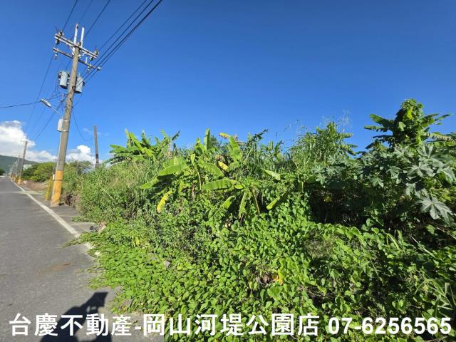 阿蓮農地-11