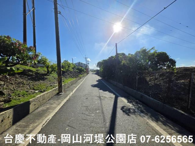 阿蓮農地-3