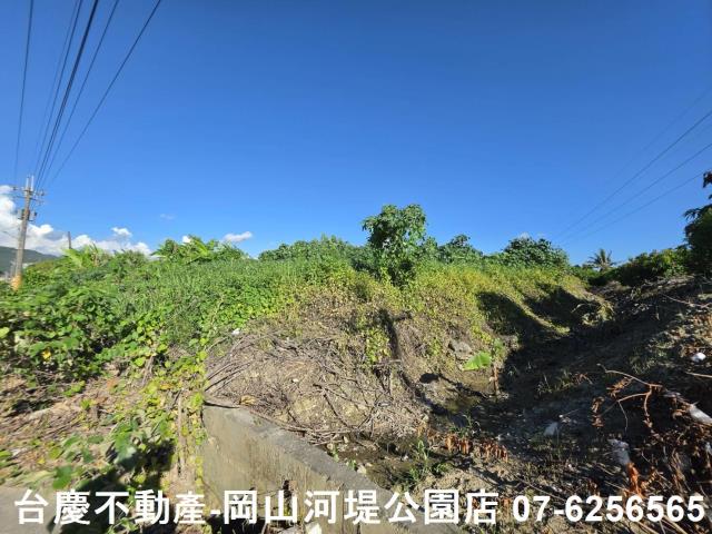 阿蓮農地-5