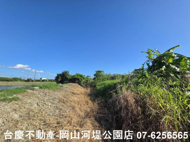阿蓮農地-7