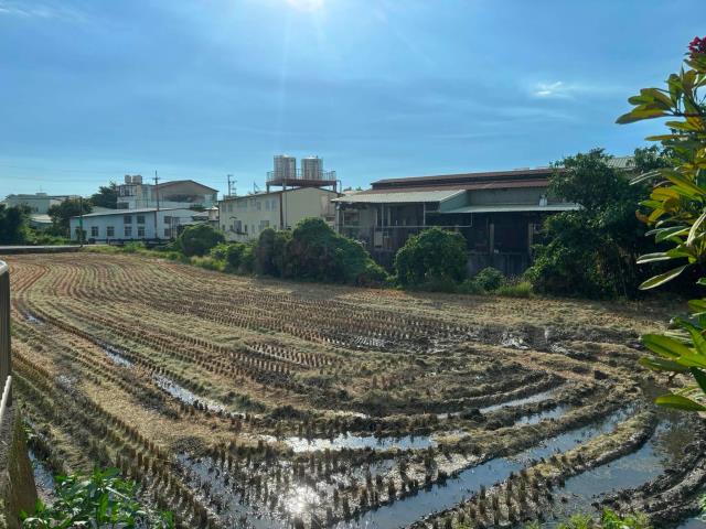 台中農地-4