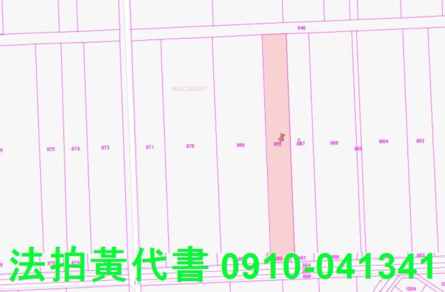 嘉義法拍農地-3