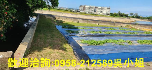 新竹新豐農地-1