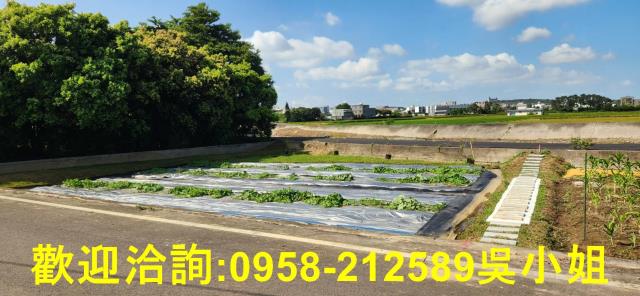 新竹新豐農地-3