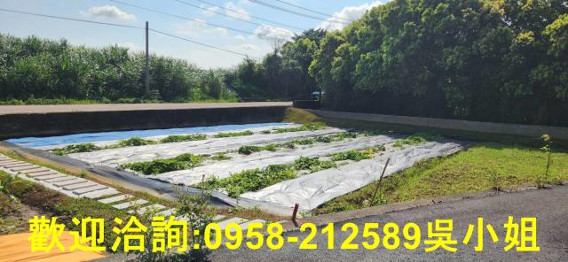 新竹新豐農地-7