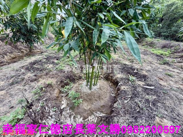 台南關廟農地-7