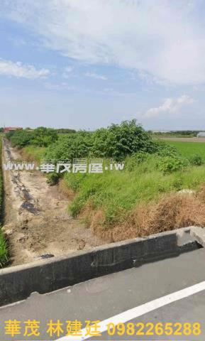 嘉義新港安和近高鐵便道441坪農地