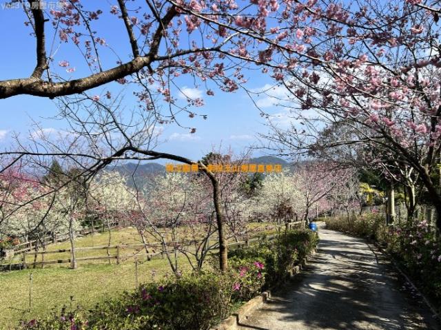 國姓農地_建地-4