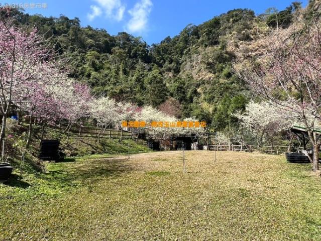 國姓農地_建地-5