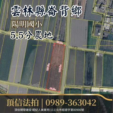 雲林農地法拍-4