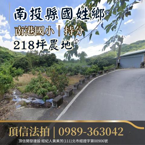 南投農地法拍-0