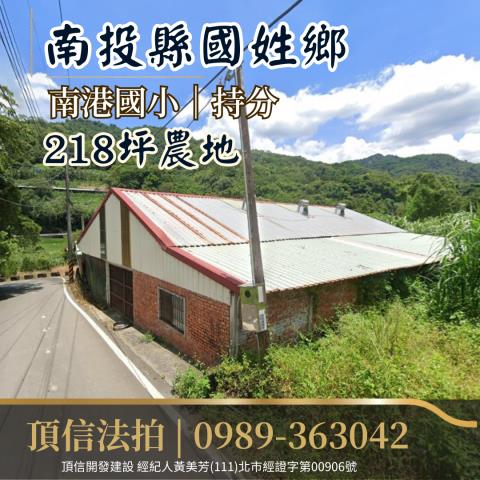 南投農地法拍-2