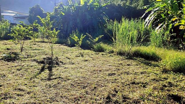 新竹橫山農地-12
