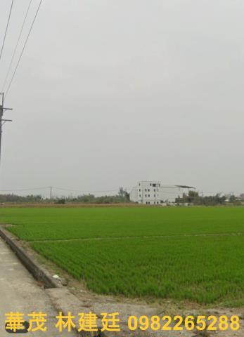 台南東山法拍農地-1