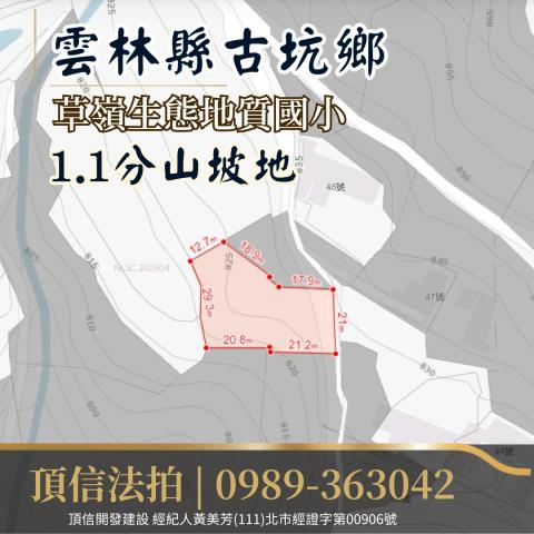 雲林古坑農地法拍-3
